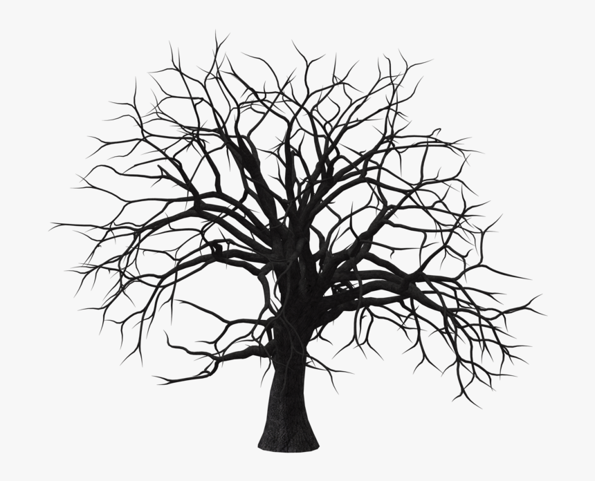 Sumac Tree 01 By Free Stock By Wayne On Clipart Library - Dry Tree Png Hd, Transparent Png, Free Download