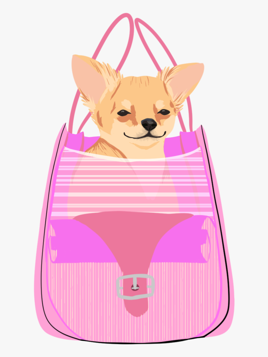 Chihuahua, HD Png Download, Free Download