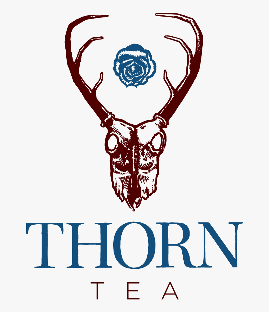 Thorn Tea Logo Vertical Large Copy, HD Png Download, Free Download