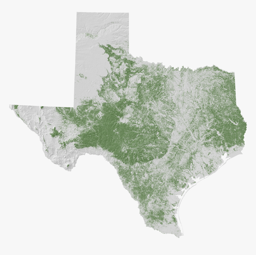 Forests Of Texas - Map Of Texas Forests, HD Png Download, Free Download
