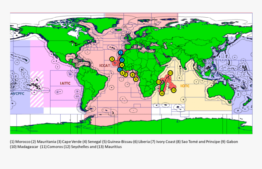 -world Map, Showing The Coastal States With Current - Intertidal Zone Location, HD Png Download, Free Download