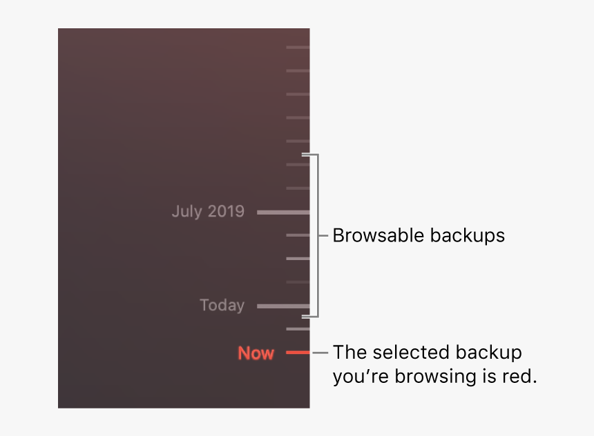 Tick Marks In The Backup Timeline - Backup, HD Png Download, Free Download