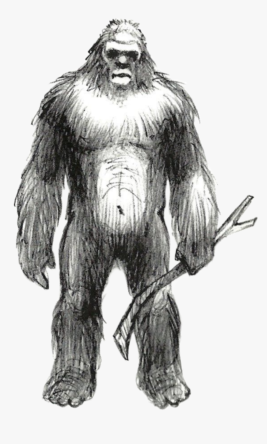 #handdrawn #bigfoot #sasquatch #yeti #yowie #booger - Drawings Of A Skunk Ape, HD Png Download, Free Download