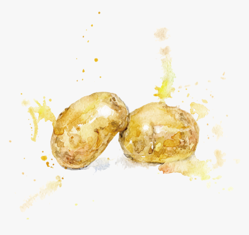 Potatoes Drawing Ink - Saem Potato Mask Sheet, HD Png Download, Free Download