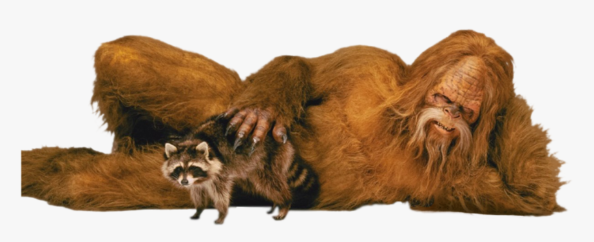 Animal & Personsasquatch - Sasquatch With Raccoon, HD Png Download, Free Download