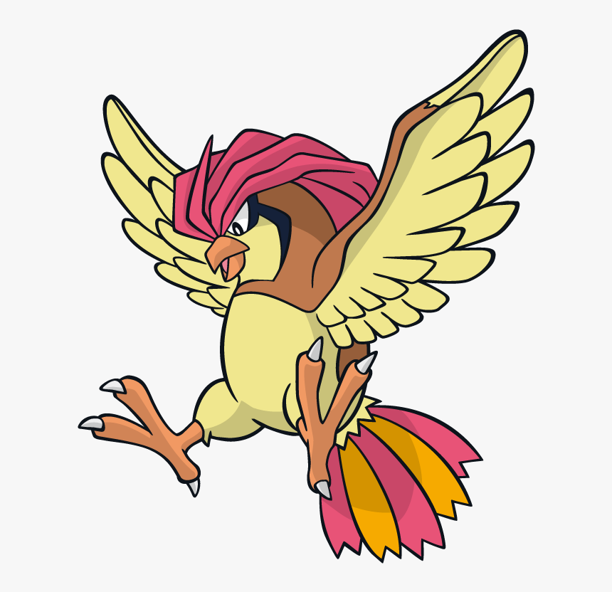 Pokemon Pidgeotto, HD Png Download, Free Download