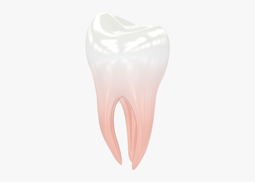 Reasons Triggering Sensitive Teeth - Urinal, HD Png Download, Free Download