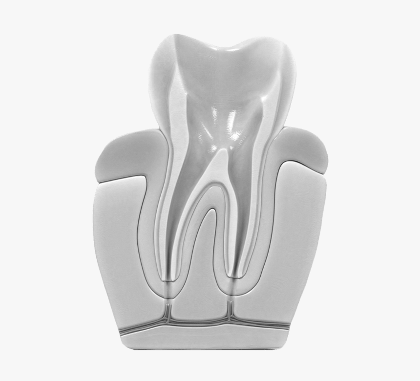 Root Canals - Endodoncia Limpieza, HD Png Download, Free Download