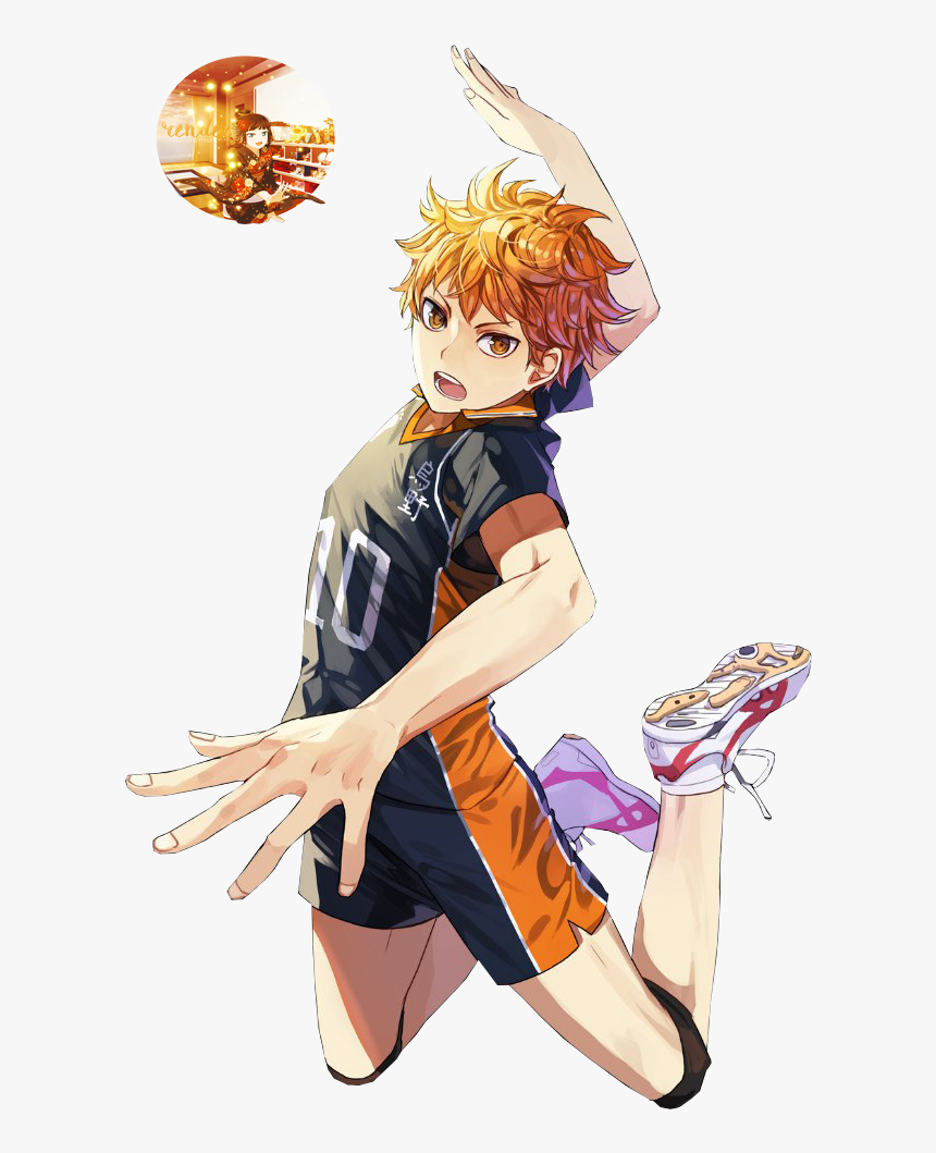 Image Result For Hinata Shouyou Profile Iwaizumi Hajime, - Hinata Shoyo, HD Png Download, Free Download