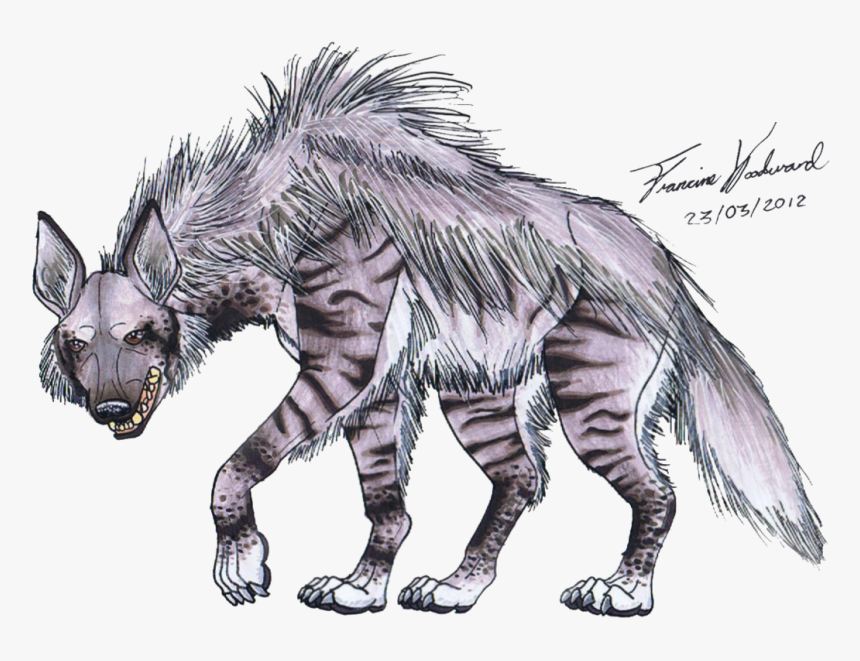 Hyena Png - Drawing Striped Hyena, Transparent Png, Free Download