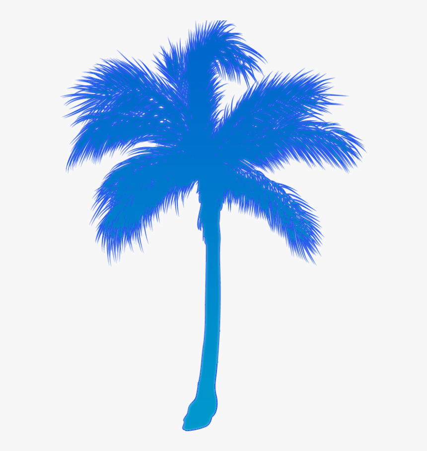 Sticker Arecaceae Surf Beach Decal - Beach Sticker Png, Transparent Png, Free Download