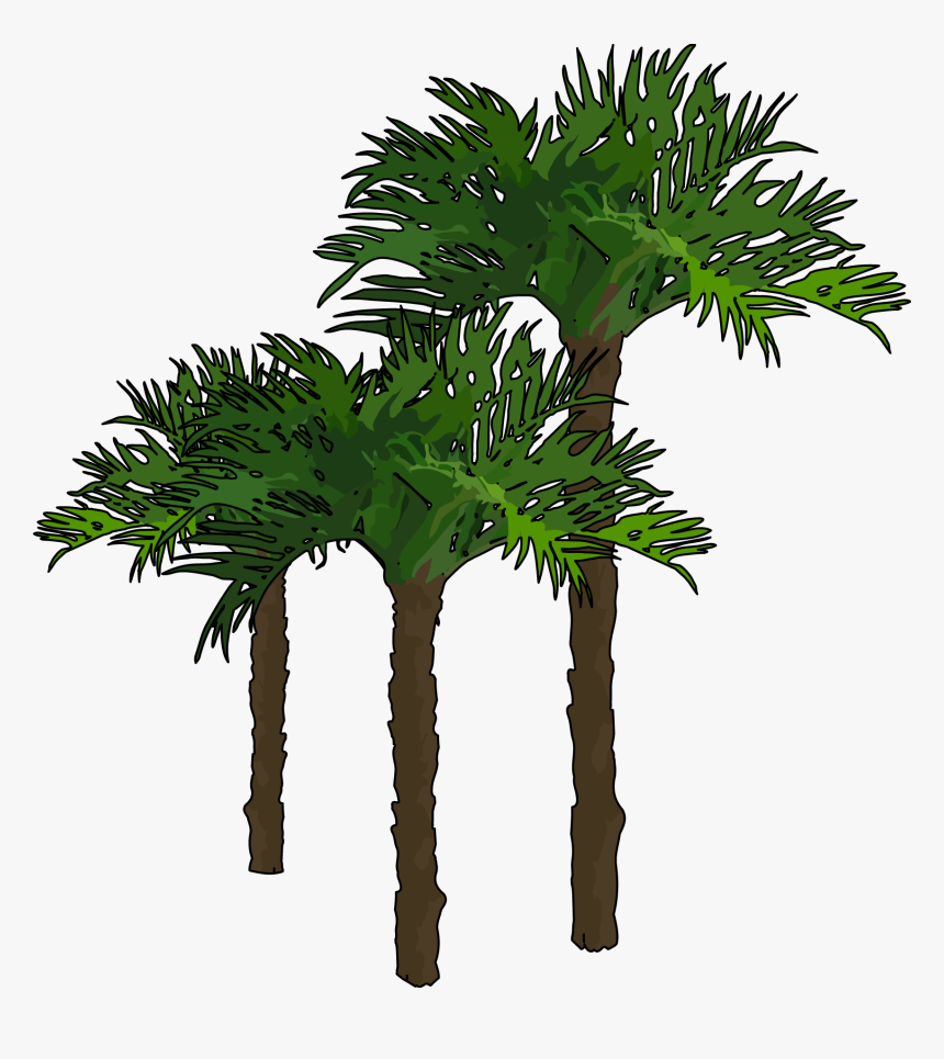 Palmeras Formato Png, Transparent Png, Free Download