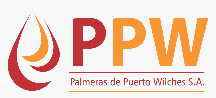 Palmeras De Puerto Wilches, HD Png Download, Free Download