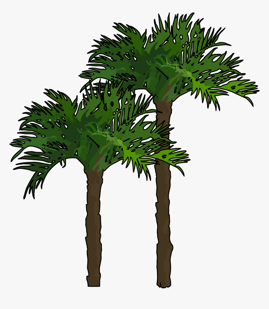 Palmeras Formato Png, Transparent Png, Free Download