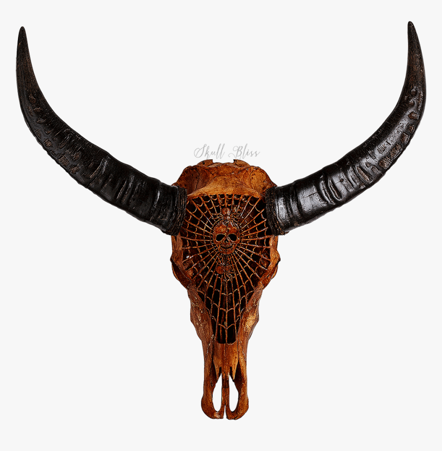 Transparent Bull Head Clipart - Crane De Bison, HD Png Download, Free Download