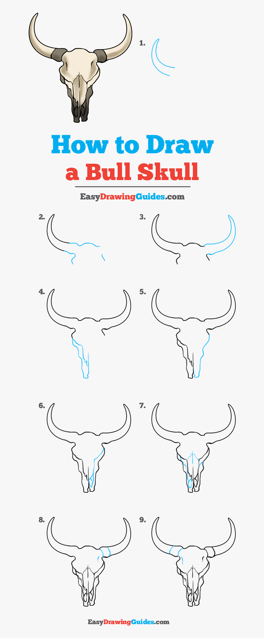 How To Draw Bull Skull - Easy Cow Skull Drawing, HD Png Download, Free Download