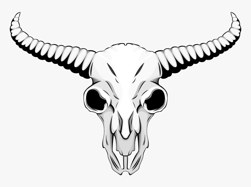 Skull , Png Download - Animal Skull Drawing, Transparent Png, Free Download