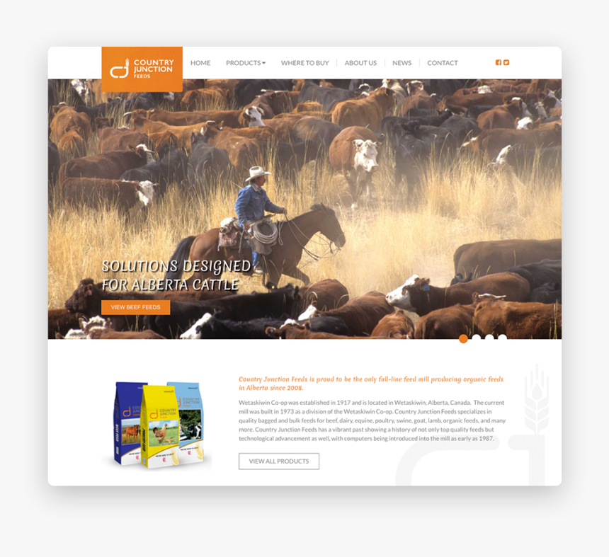 Website Content That Converts Audience - Bureau Of Land Management Fees, HD Png Download, Free Download