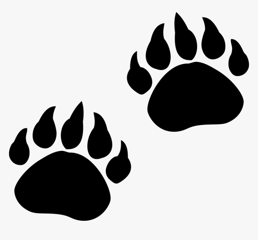 Kostenlose Vektorgrafik Spuren - Bear Paw Print Png, Transparent Png, Free Download