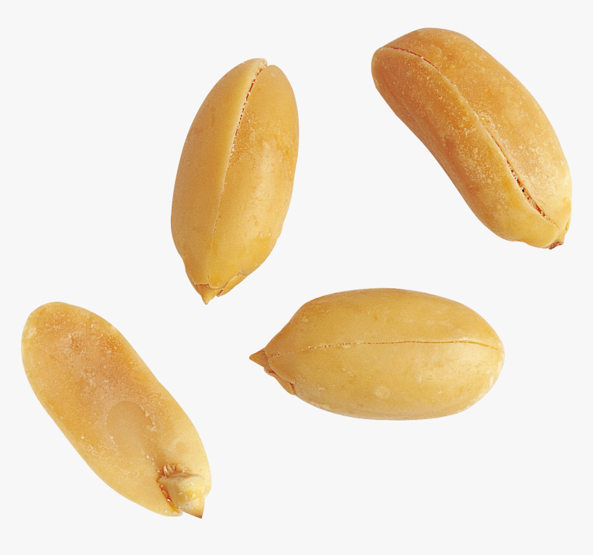 Peanut Png - Peanut, Transparent Png, Free Download