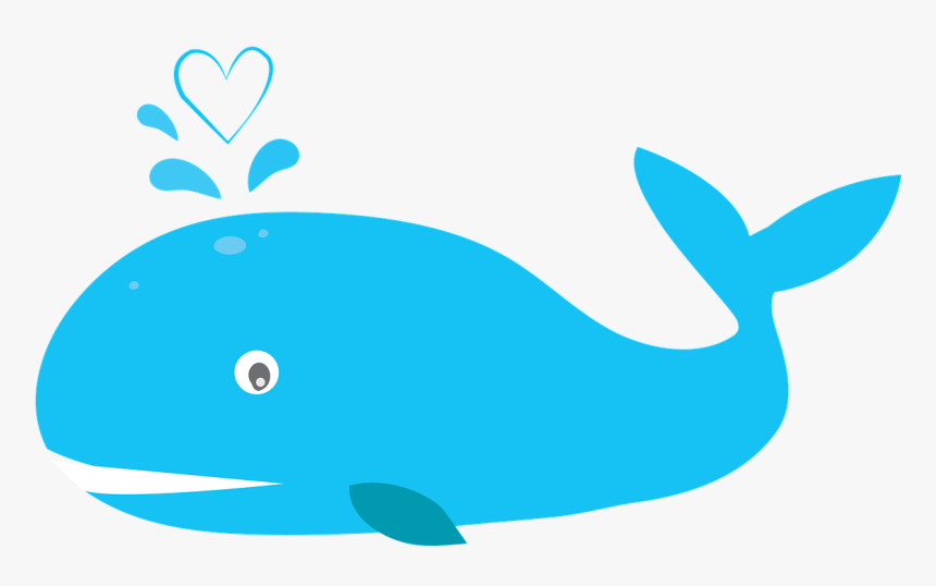 Blue Whale Cetacean Surfacing Behaviour Marine Mammal - Blue Whale Clipart, HD Png Download, Free Download