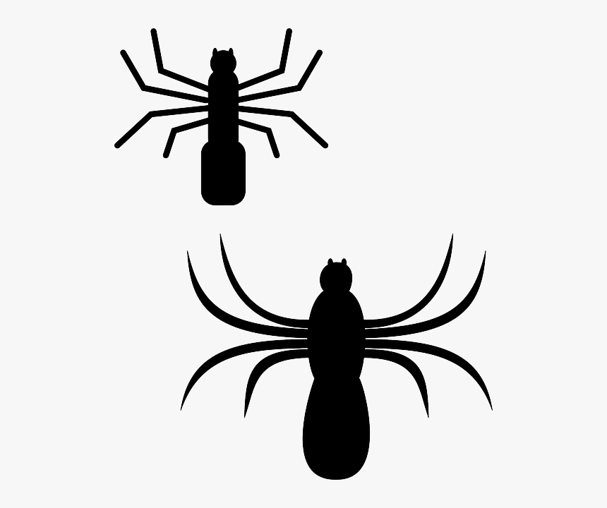 Spiders Silhouette, Cartoon, Bugs, Spider, Web, Insect, - Spiders Clip Art, HD Png Download, Free Download