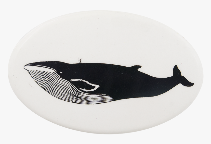 Blue Whale 3 Art Button Museum - Blue Whale, HD Png Download, Free Download