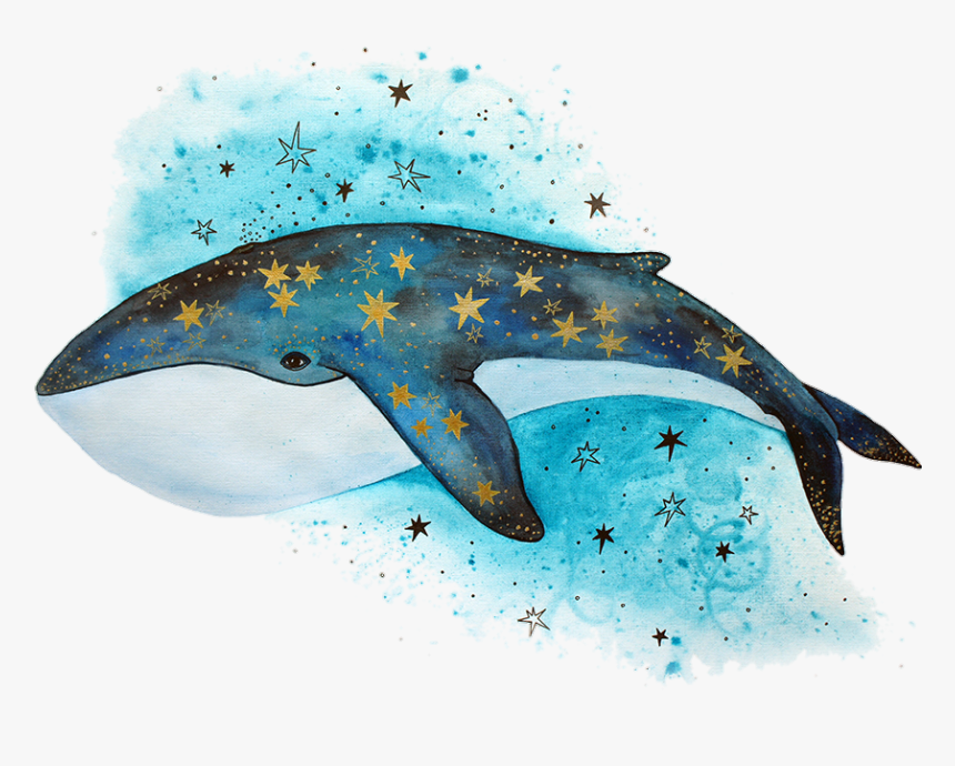 #tumblr #whale #bluewhale #stars #blue - Рисунки Кита, HD Png Download, Free Download