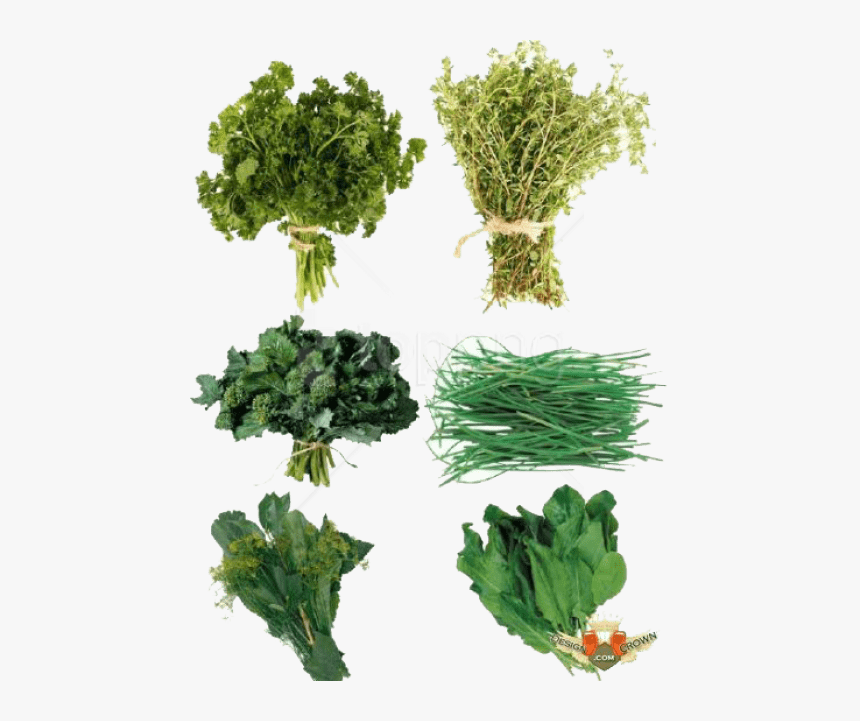 Download Herb S Png Images Background - Png Herbs, Transparent Png, Free Download