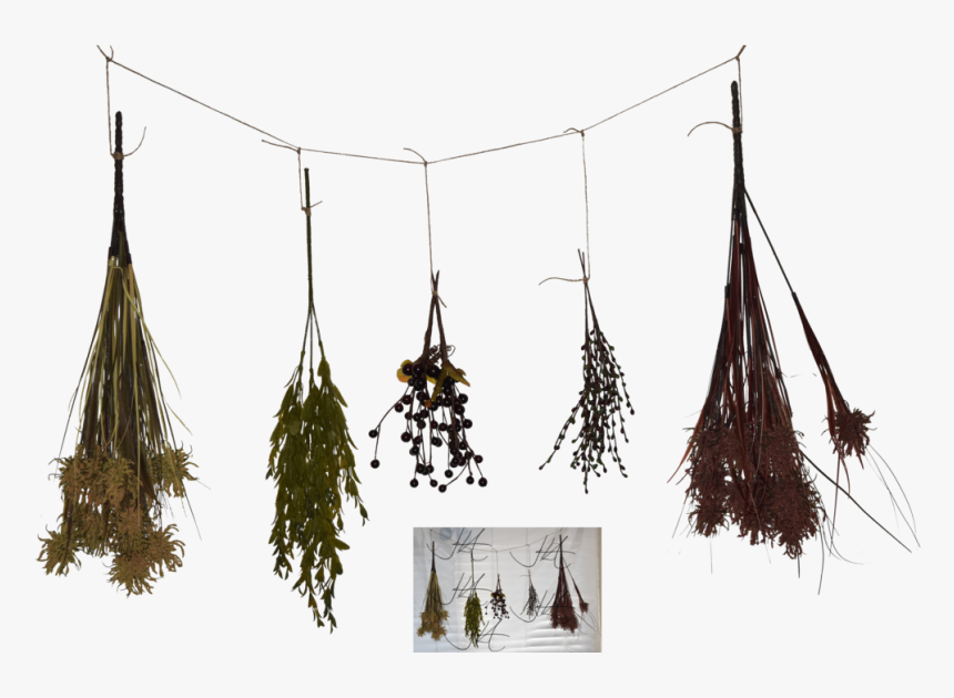 Dried Herbs 3d Model Free , Png Download - Dried Herb 3d Models, Transparent Png, Free Download