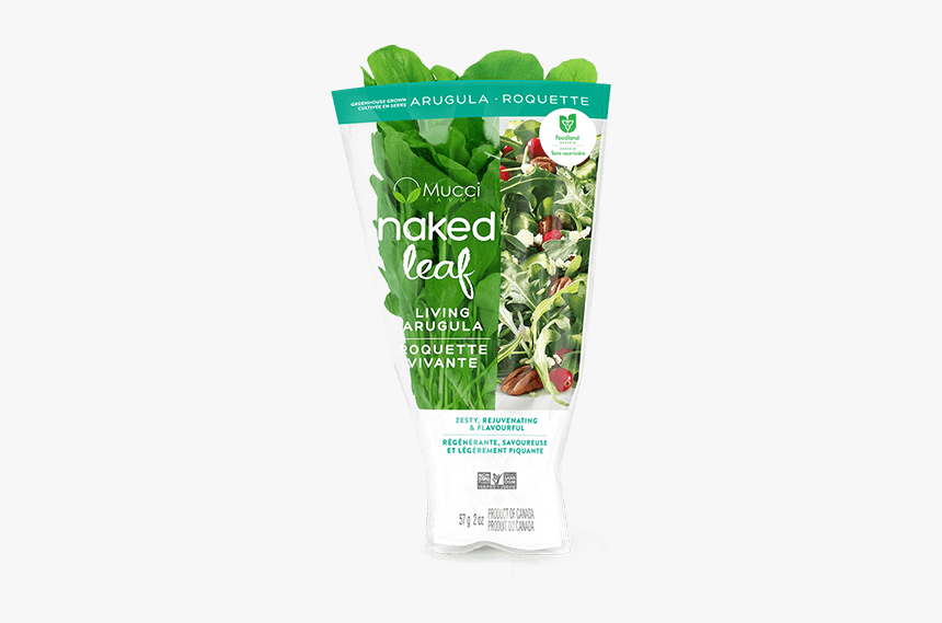 Arugula Sleeve New - Aloe, HD Png Download, Free Download