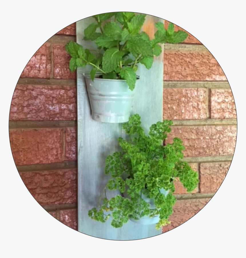 Hanging Herbs - Flowerpot, HD Png Download, Free Download