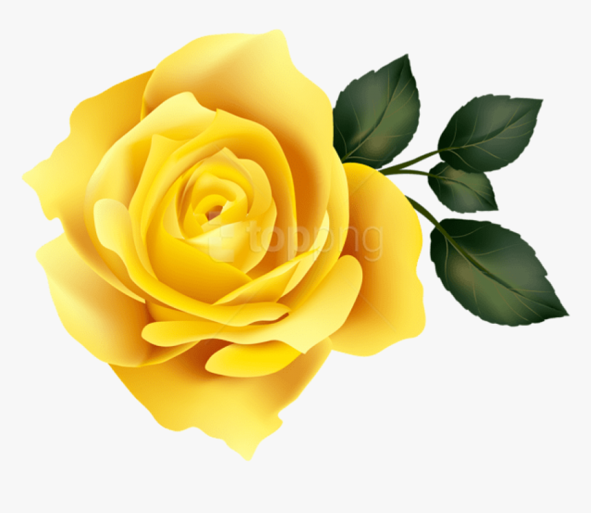 Transparent Rose Png - Transparent Background Purple Rose Png, Png Download, Free Download