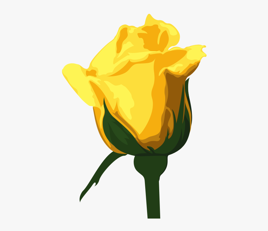 Yellow Rose, HD Png Download, Free Download