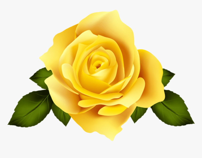 #floral #flower #roses #yellow #yellowflower #rose - Transparent Background Purple Rose Png, Png Download, Free Download