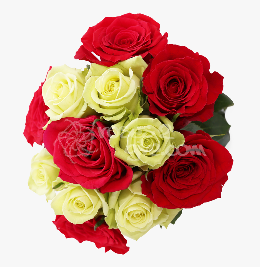 Red And Yellow Rose Png , Png Download - Floribunda, Transparent Png, Free Download