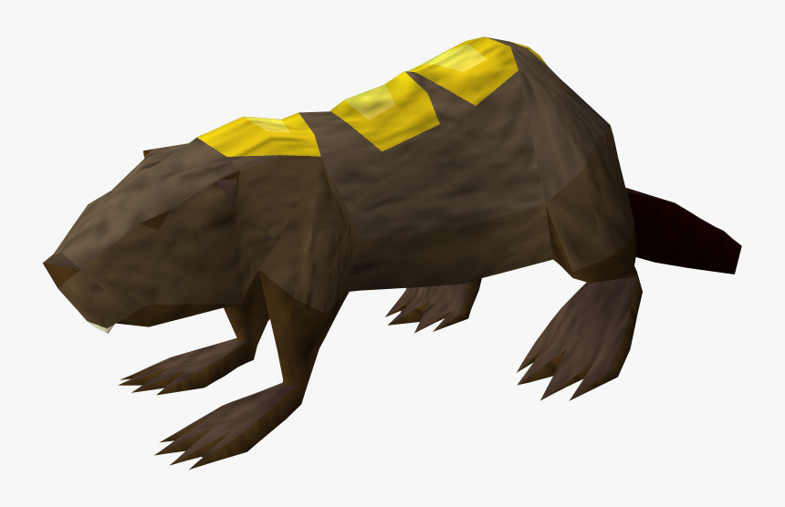 Beaver Rs3, HD Png Download, Free Download