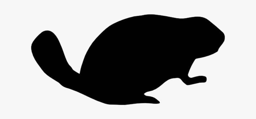 Beaver Png Image Background - Toad, Transparent Png, Free Download