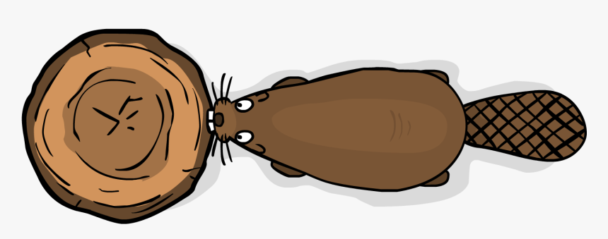 Beaver Png Image Download, Transparent Png, Free Download