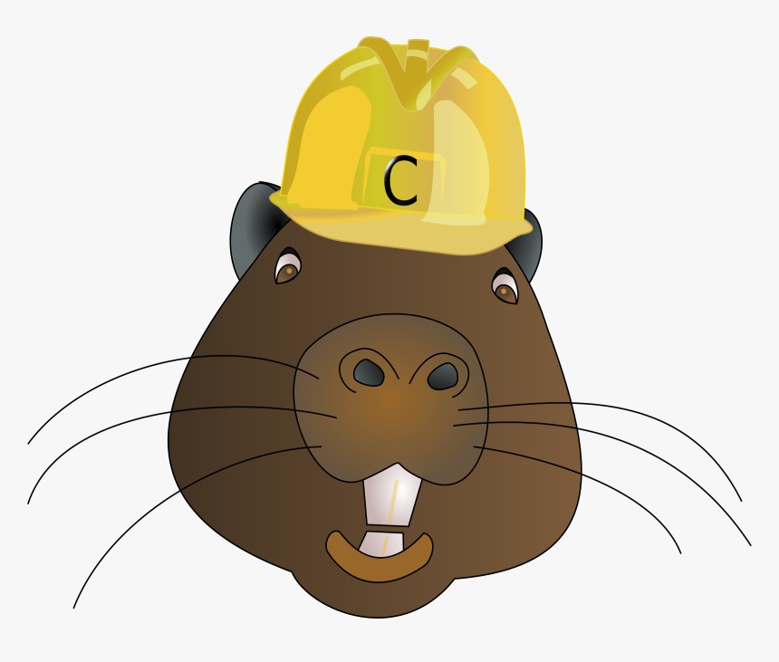 Beaver Wearing A Hat, HD Png Download, Free Download