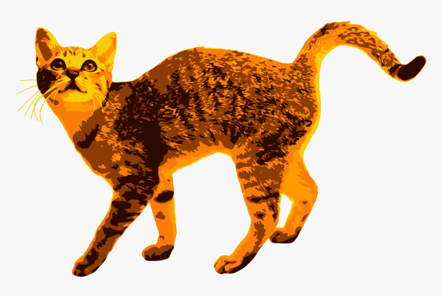 Vectorized Cat Example Image - Cat Yawns, HD Png Download, Free Download