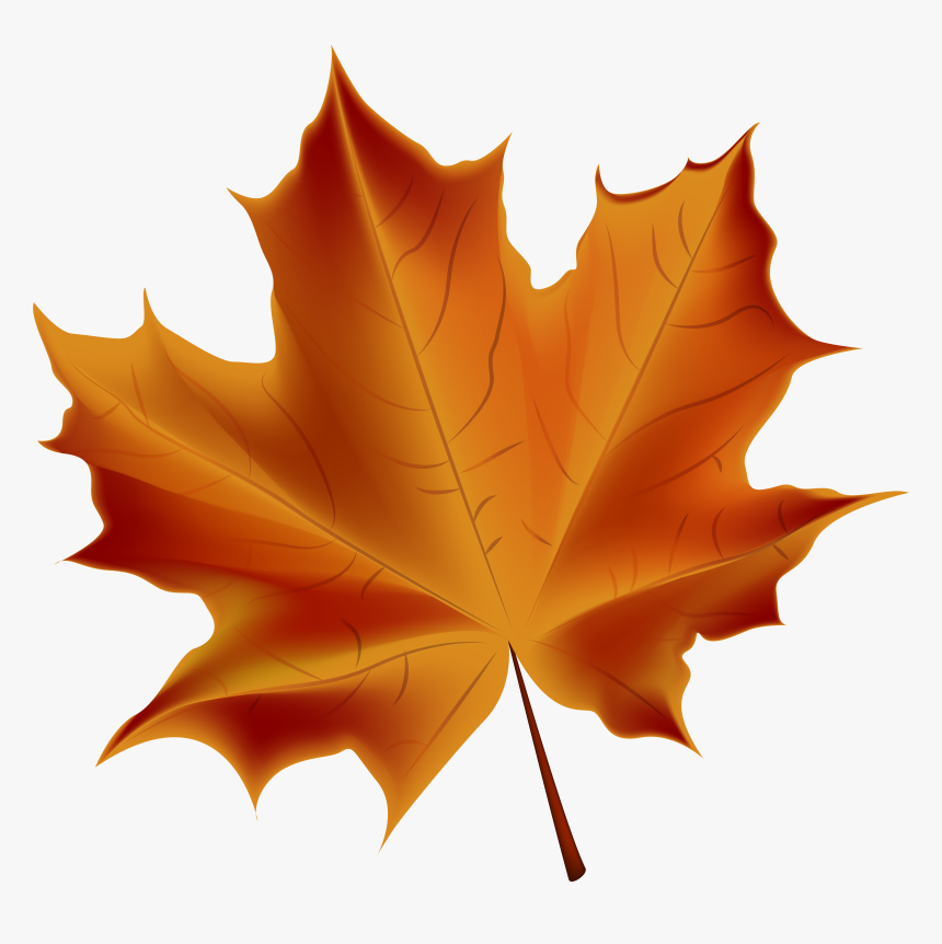 Beautiful Red Autumn Leaf Transparent Png Clip Art - Transparent Background Fall Leaf, Png Download, Free Download