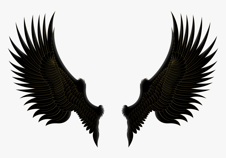 Transparent Shhh Clipart - Wings Hd Png Download, Png Download, Free Download