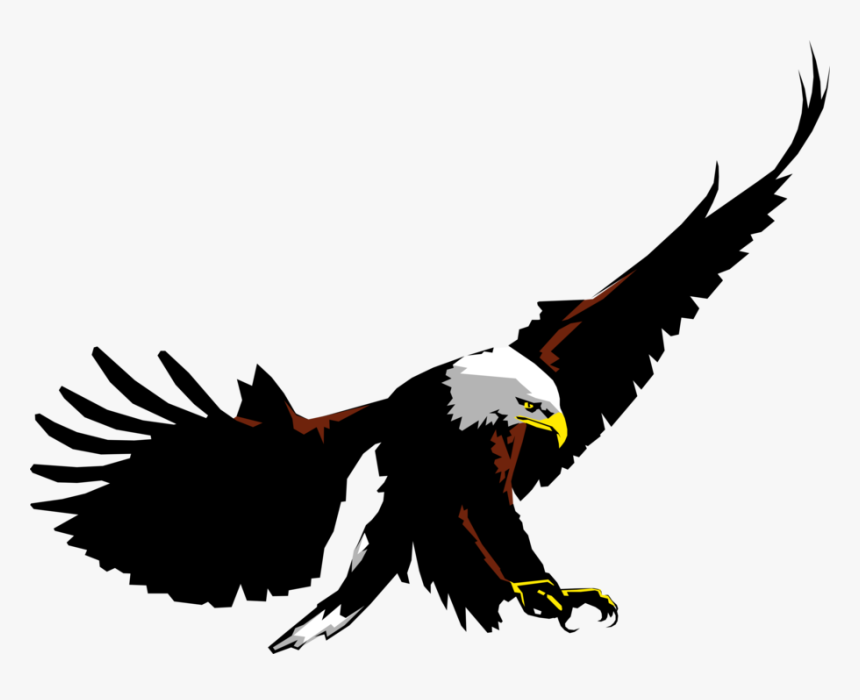 Vector Illustration Of American Bald Eagle National - Del Oro Golden Eagle, HD Png Download, Free Download