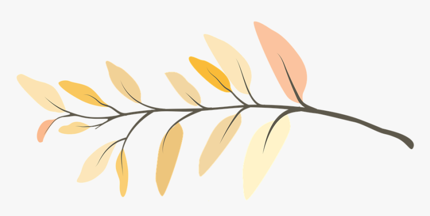 Branch, Flower, Twig, Spring, Bloom, Nature, Tree - Galho De Flores Png, Transparent Png, Free Download