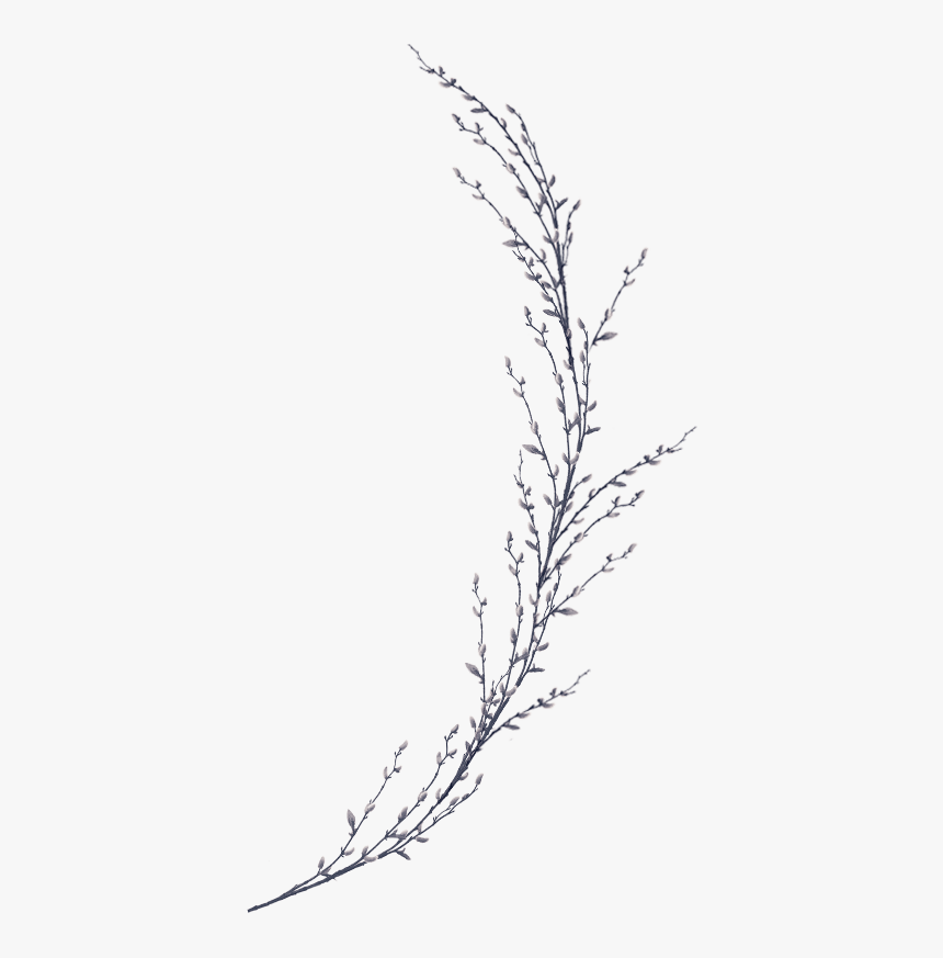 Transparent Wedding Invitation Png - Twig, Png Download, Free Download