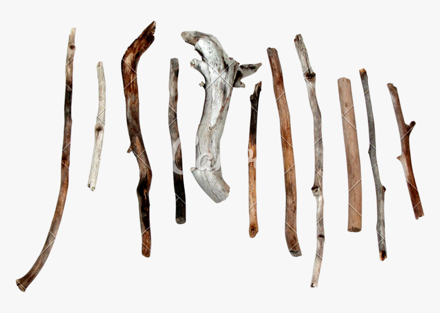 Wood Twig Png, Transparent Png, Free Download