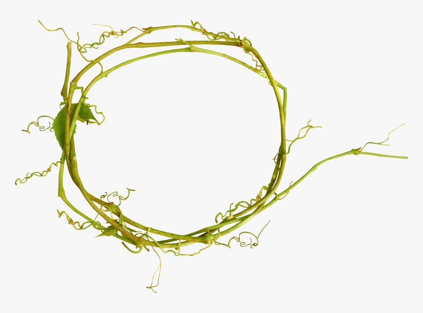Flower Branch Design Holi Floral Twig Clipart - Illustration, HD Png Download, Free Download