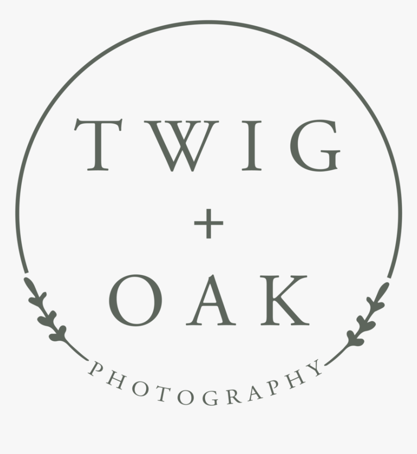 Twig Png, Transparent Png, Free Download