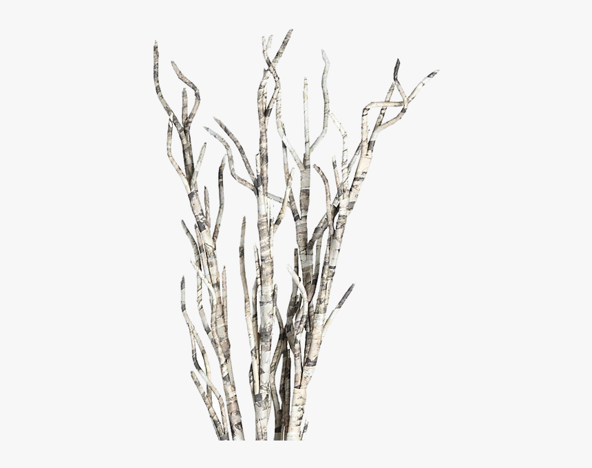 Twig, HD Png Download, Free Download